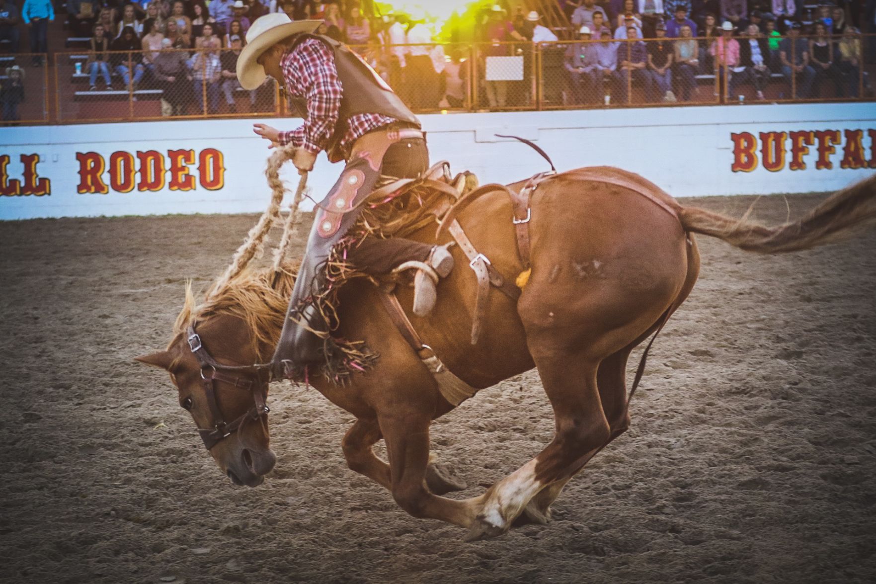 Buffalo Bill Rodeo Night 1 (23).jpg